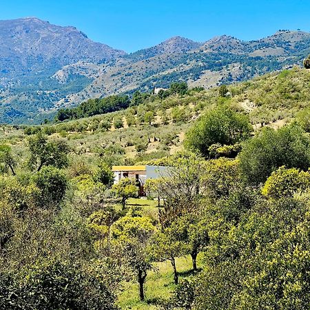 Finca Martina Apartman Casarabonela Kültér fotó