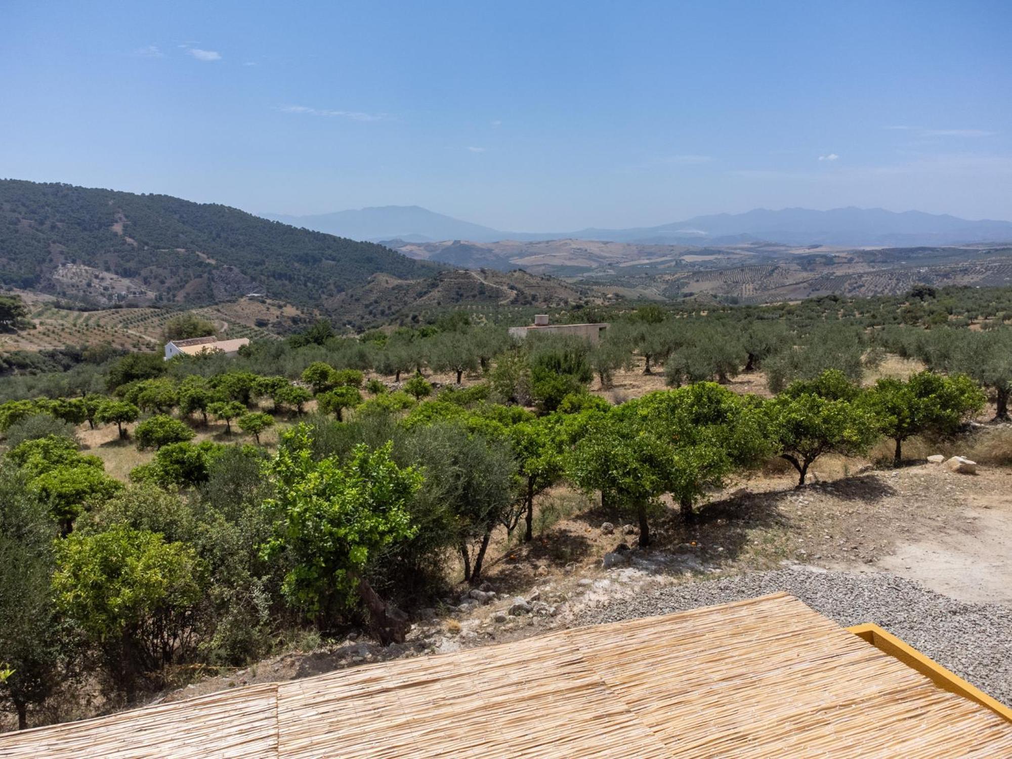 Finca Martina Apartman Casarabonela Kültér fotó