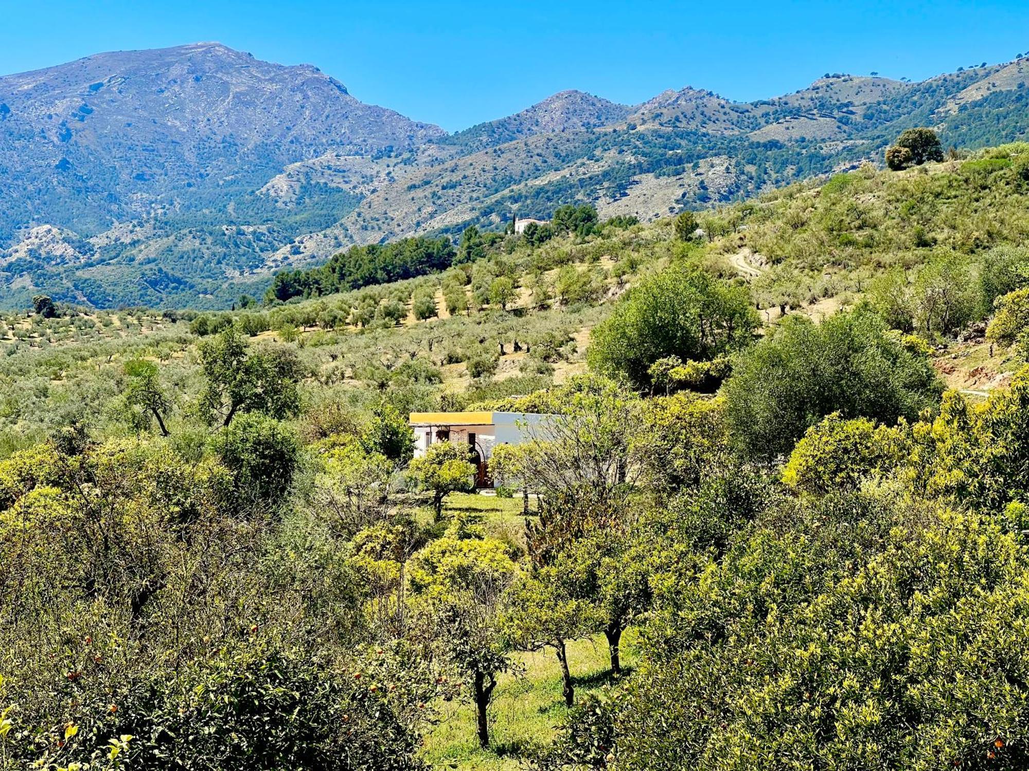 Finca Martina Apartman Casarabonela Kültér fotó
